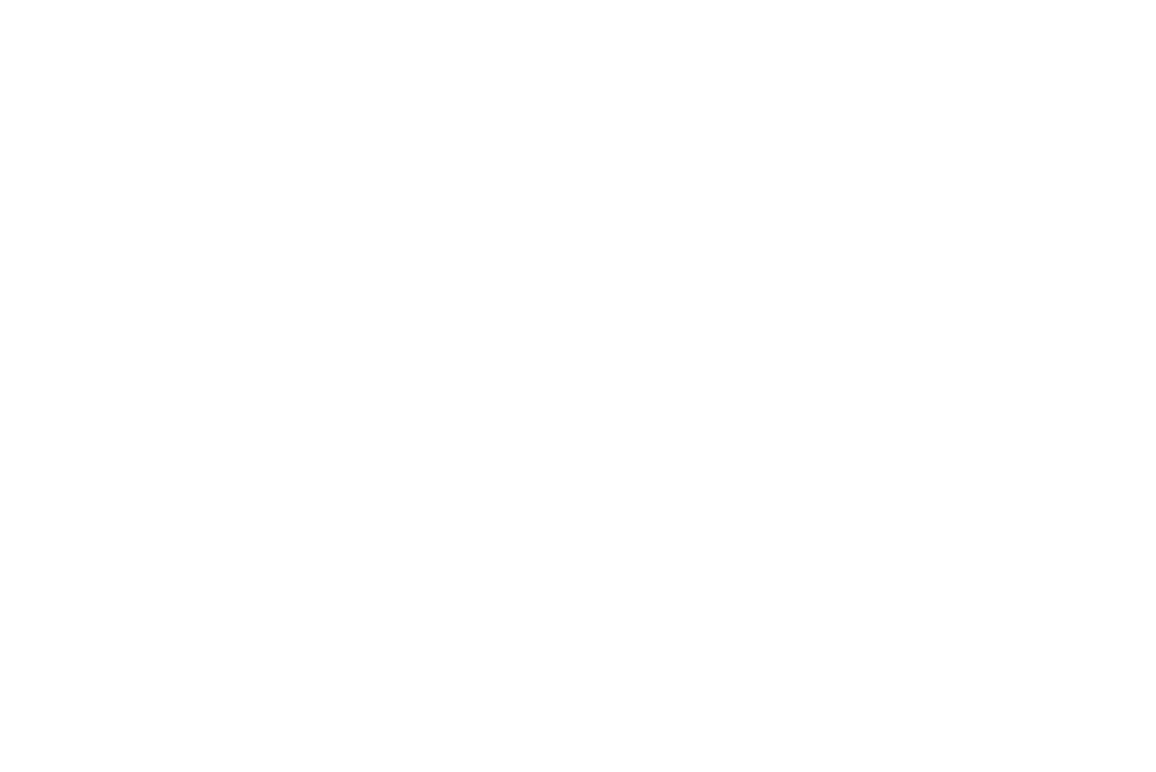 666 Logo